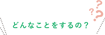 どんなことをするの？